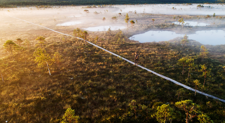Estland Moorlandschaft Wanderer Foto Visit Estonia